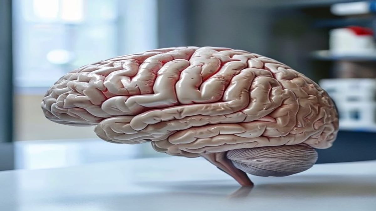 Novos tratamentos para Alzheimer chegam ao Brasil via SUS