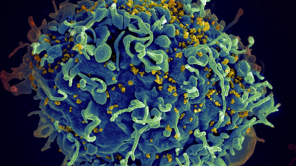 PrEP e PEP: as estratégias modernas de prevenção ao HIV